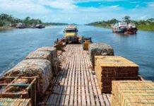 CNT escolhe Manaus para sediar decisões estratégicas do transporte nacional durante a “TranspoAmazônia”