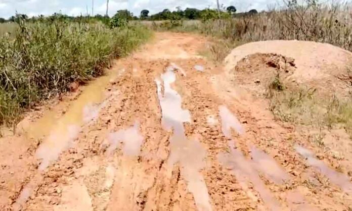 Falta-de-manutenção-em-ramais-ameaça-agricultura-familiar-e-isola-comunidades-em-Humaitá1