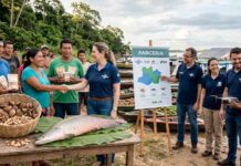 Parceria fortalece produtores da Amazônia e amplia mercado para castanha e pirarucu de manejo