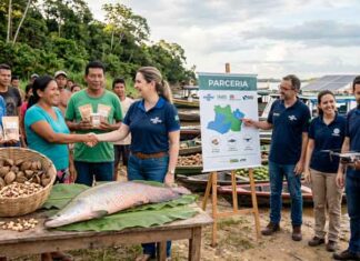 Parceria fortalece produtores da Amazônia e amplia mercado para castanha e pirarucu de manejo