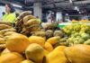 Produtos frescos direto do agricultor ganham espaço e atraem público na Feirinha do Mill