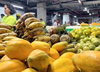Produtos frescos direto do agricultor ganham espaço e atraem público na Feirinha do Mill