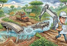 A importância do CONFEA para a Amazônia Ocidental