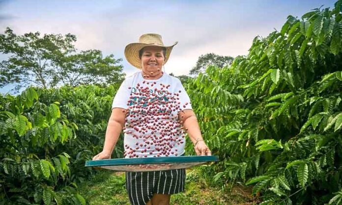 Projeto-apoiado-pela-Eneva-faz-renda-de-famílias-crescer-190%-e-recupera-áreas-da-Amazônia