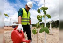 Projetos de infraestrutura e sustentabilidade transformam a realidade urbana no Amazonas