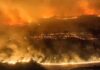 Incêndios sem controle devastam a Espanha e deixam milhares de hectares reduzidos a cinzas