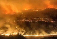 Incêndios sem controle devastam a Espanha e deixam milhares de hectares reduzidos a cinzas