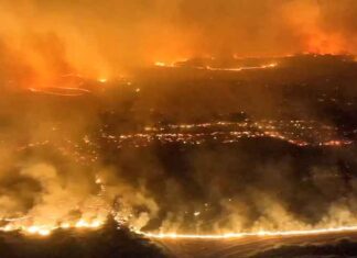 Incêndios sem controle devastam a Espanha e deixam milhares de hectares reduzidos a cinzas