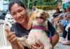 Manaus abre novas vagas para castração gratuita de cães e gatos nesta quarta-feira