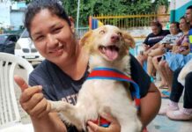 Manaus abre novas vagas para castração gratuita de cães e gatos nesta quarta-feira