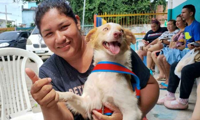 Manaus-abre-novas-vagas-para-castração-gratuita-de-cães-e-gatos-nesta-quarta-feira