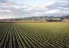 Modernização do campo aumenta a importância dos sistemas elétricos nas máquinas agrícolas