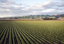 Modernização do campo aumenta a importância dos sistemas elétricos nas máquinas agrícolas