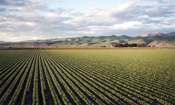 Modernização-do-campo-aumenta-a-importância-dos-sistemas-elétricos-nas-máquinas-agrícolas