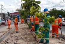 Prefeitura intensifica obras de infraestrutura e amplia melhorias em duas das maiores zonas de Manaus