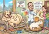 Quase metade dos tutores oferece comida humana aos pets e especialistas fazem um alerta