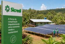 Sicredi libera R$ 7,5 bilhões para impulsionar economia verde na Amazônia e Centro Oeste