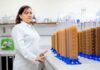 Pesquisadora do INPA conquista prêmio nacional por trabalho que fortalece agricultores e indígenas