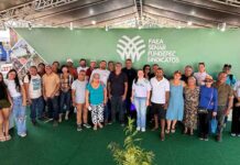 Café ganha espaço no Amazonas e Presidente Figueiredo desponta na produção