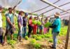 Qualificação no campo leva novas técnicas a produtores de três municípios do Amazonas