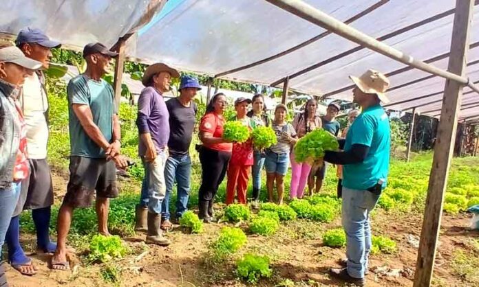 Cursos-do-Senar-transformam-a-produção-rural-em-municípios-do-Amazonas
