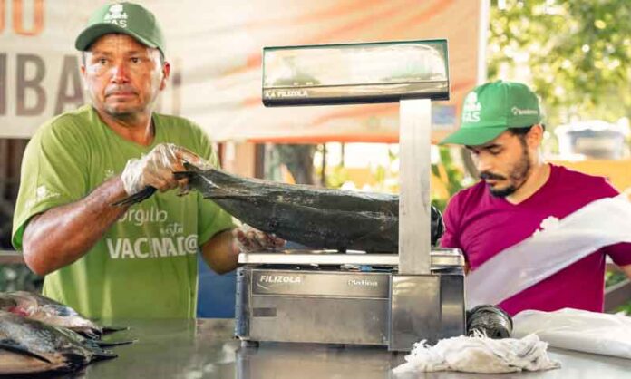 Feira-do-Tambaqui-oferece-8-toneladas-de-pescado-em-Manaus-neste-sábado