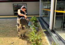 Funcionários do Implurb se unem para cuidar de mais de 260 mudas no Parque Mosaico