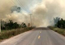 Manaus enfrenta alta nas queimadas e Corpo de Bombeiros reforça alerta à população