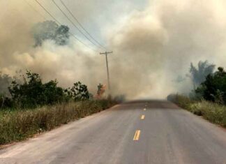 Manaus enfrenta alta nas queimadas e Corpo de Bombeiros reforça alerta à população