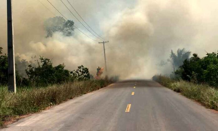 Manaus-enfrenta-alta-nas-queimadas-e-Corpo-de-Bombeiros-reforça-alerta-à-população