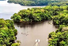 Novo Airão recebe a primeira edição do Festival AMÁ com foco em bioeconomia e empreendedorismo