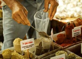 “Programa EcoAm” amplia prazo e abre caminhos para negócios da Amazônia chegarem a novos mercados