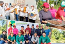 Qualificação chega ao campo e mostra onde pode estar a força da economia amazonense