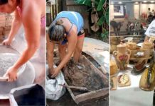Muito além do ouro: COOPERMINA amplia olhar para comunidades tradicionais do Rio Madeira