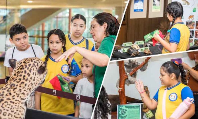 Inpa-e-Semed-aproximam-acervo-da-biodiversidade-amazonense-da-população-em-Manaus