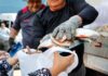 Mais de 4 mil famílias do Coroado recebem pescado em nova ação social da Prefeitura de Manaus