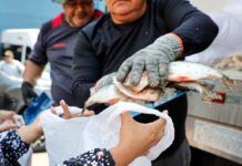Mais de 4 mil famílias do Coroado recebem pescado em nova ação social da Prefeitura de Manaus