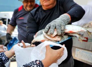 Mais de 4 mil famílias do Coroado recebem pescado em nova ação social da Prefeitura de Manaus