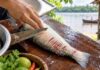 O peixe ticado: a faca que canta e o orgulho de ser do rio