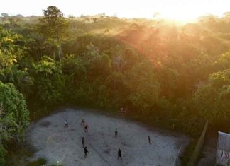 Queimadas avançam no Amazonas e 13 municípios ganham reforço de brigadistas