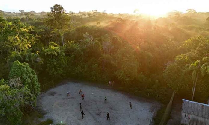 Queimadas-avançam-no-Amazonas-e-13-municípios-ganham-reforço-de-brigadistas