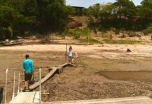Rios mais baixos e perdas na produção aumentam temor de novo El Niño na Amazônia