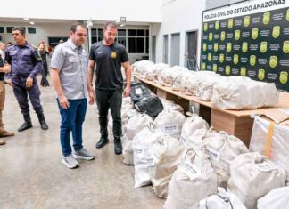 PM apreende 2,4 toneladas de skunk e expõe dimensão do tráfico em Manaus