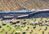 Acidente ferroviário na Espanha termina em tragédia e deixa famílias à espera de notícias