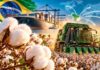 Algodão brasileiro bate novos recordes e agora enfrenta o desafio de colher sem perder eficiência