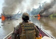 Amazônia, crime organizado e responsabilidade política