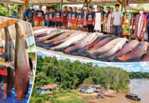 Atalaia do Norte avança em projeto que une renda para indígenas e proteção da floresta