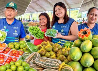 Feiras em Manaus levam frutas, verduras e produtos regionais a oito pontos da cidade nesta semana