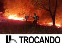 Em chamas, Autazes pede socorro, e onde estão os ambientalistas e as ONGs?