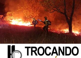 Em chamas, Autazes pede socorro, e onde estão os ambientalistas e as ONGs?